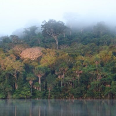 400_1238252743_parque-nacional-madidi-bolivia