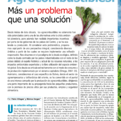 Petropress 14 | Agrocombustibles más un problema que una solución