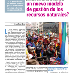 Petropress 17 | ¿Un nuevo modelo de gestión de los recursos naturales?