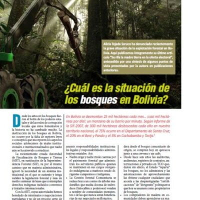 cual es la situacion de los bosques en Bolivia
