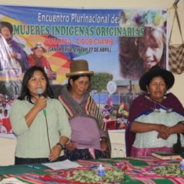 Resolución del V encuentro nacional de mujeres indígenas originarias de Bolivia