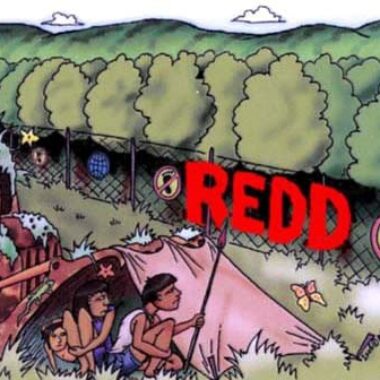 Documentos REDD