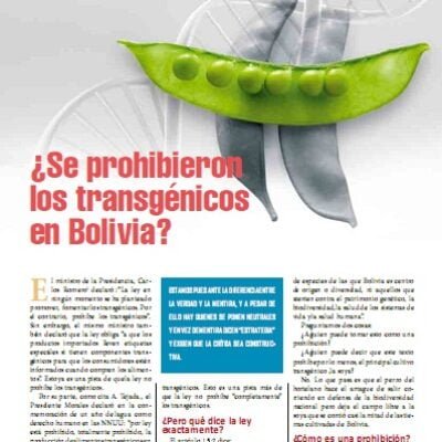 Se prohibieron los transgenicos en Bolivia
