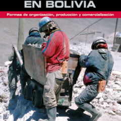 Cooperativas mineras en Bolivia | Formas de organización, producción y comercialización