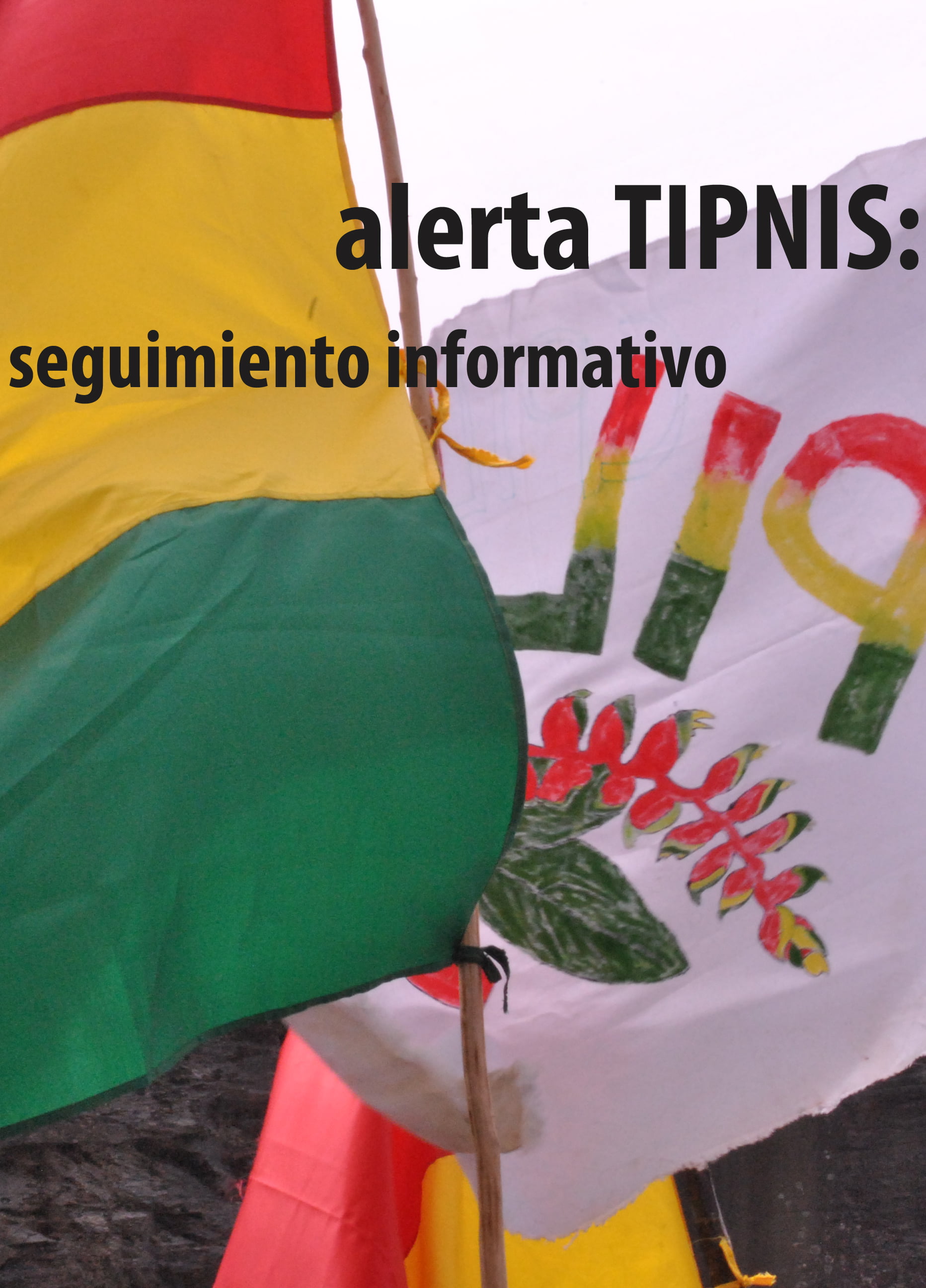 Audio: Pronunciamiento Concepción de Ichoa Junio 2013 – Indígenas TIPNIS Audio: Pronunciamiento Concepción de Ichoa Junio 2013 – Indígenas TIPNIS