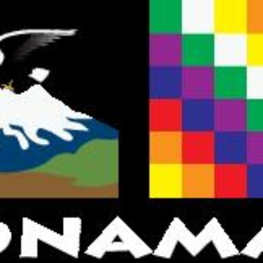 Pronunciamiento CONAMAQ orgánico frente a aprobación de Ley Minera