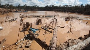 Las rutas del oro: historias sobre la minería ilegal en la Amazonía andina Las rutas del oro: historias sobre la minería ilegal en la Amazonía andina