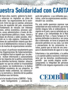 Nuestra Solidaridad con CARITAS (CEDIB, 4-7-17)