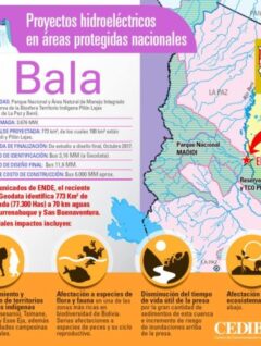 El Bala: Proyectos hidroeléctricos en áreas protegidas de Bolivia