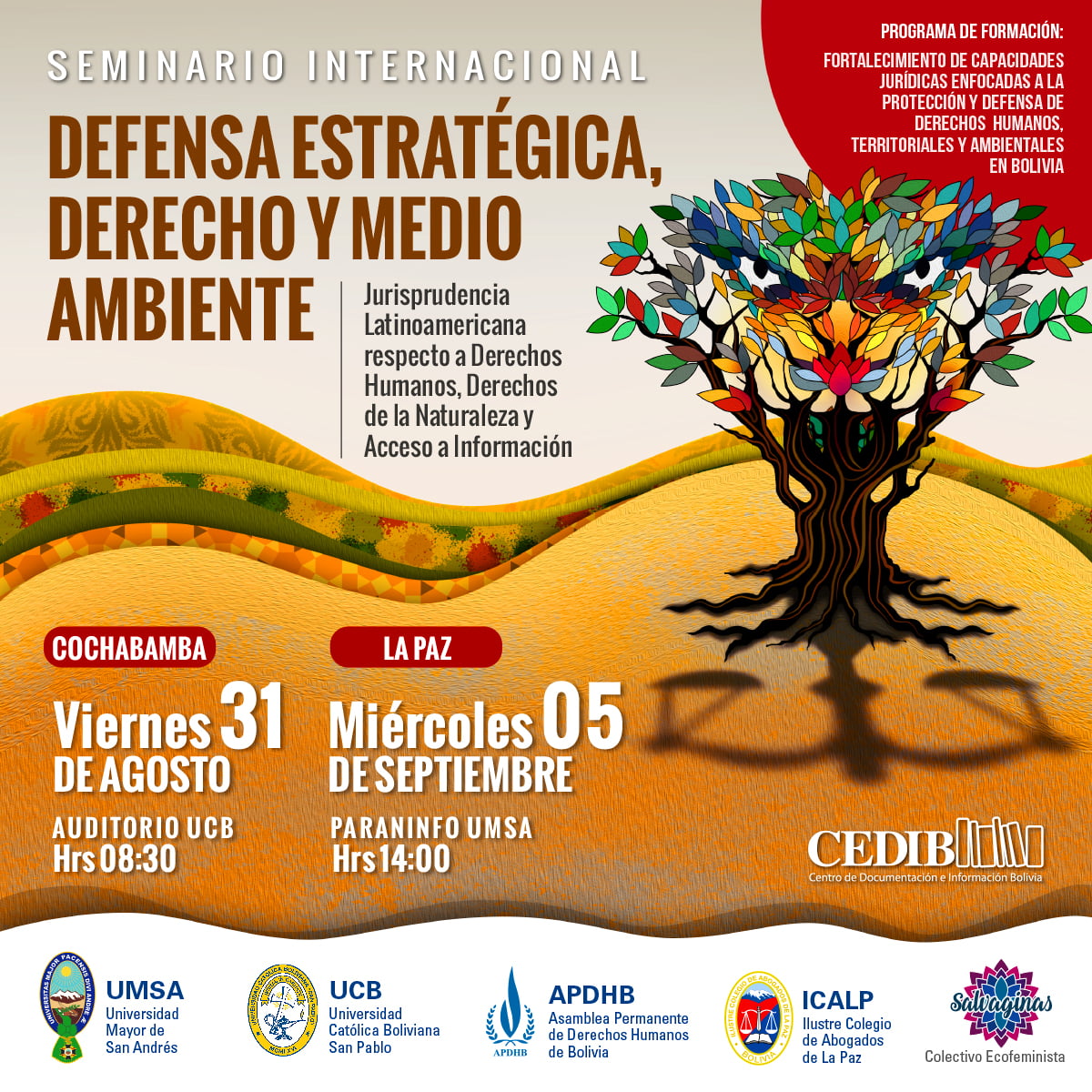 Seminario Internacional “Defensa estratégica, derecho y medio ambiente”