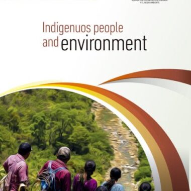 Indigenous people and environment | Report UPR Third Cycle Bolivia 2019