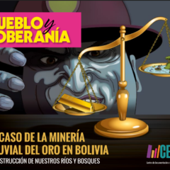 Minería aluvial de oro en Bolivia La destrucción de nuestros bosques | Pueblo y Soberanía