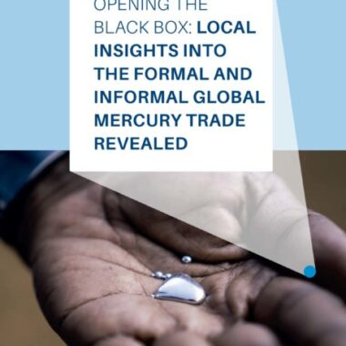 Opening the black box | Local insights into formal and informal global mercury trade revealed