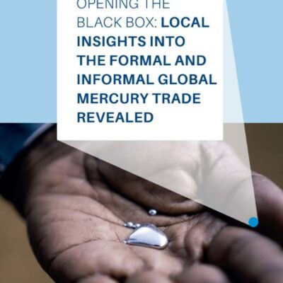 Opening the black box: Local insights into formal and informal global mercury trade revealed