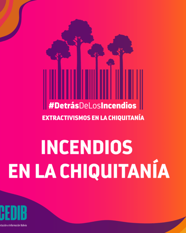 Detrás de los incendios: Lecciones por aprender Detrás de los incendios: Lecciones por aprender