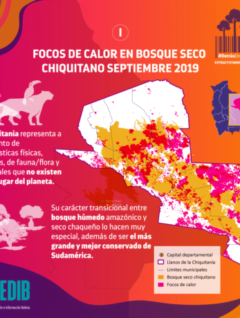 Focos de calor en el bosque seco Chiquitano 2019