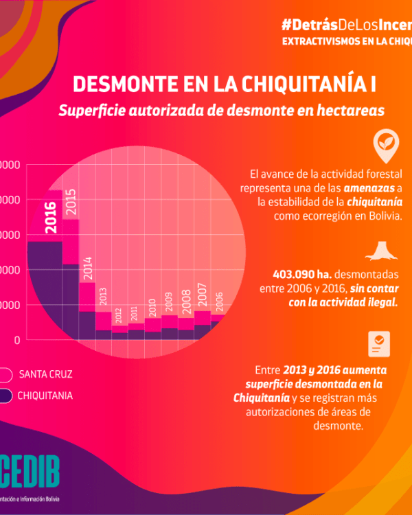 Desmonte en la Chiquitanía I Desmonte en la Chiquitanía I