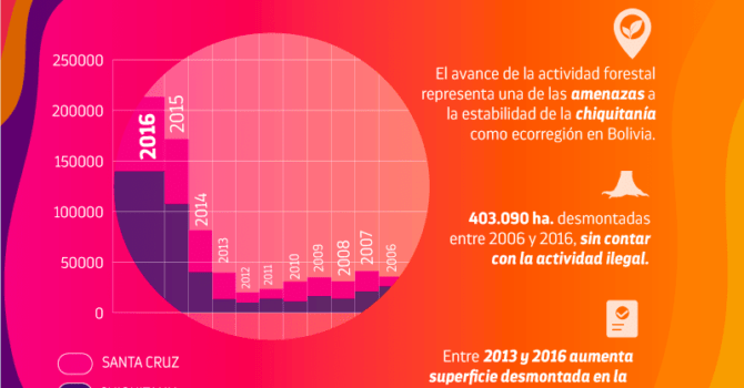 Desmonte en la Chiquitanía I Desmonte en la Chiquitanía I