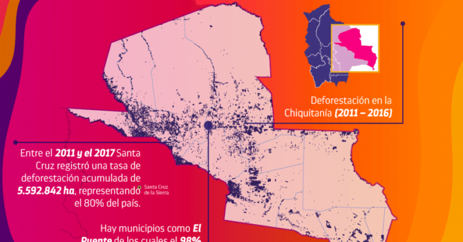 Detrás de los incendios: Madera y deforestación en la Chiquitanía Detrás de los incendios: Madera y deforestación en la Chiquitanía