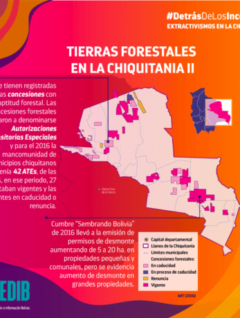 Tierras forestales en la Chiquitanía II