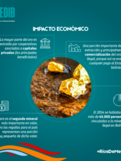 Ríos de mercurio: Impacto económico de la minería de oro