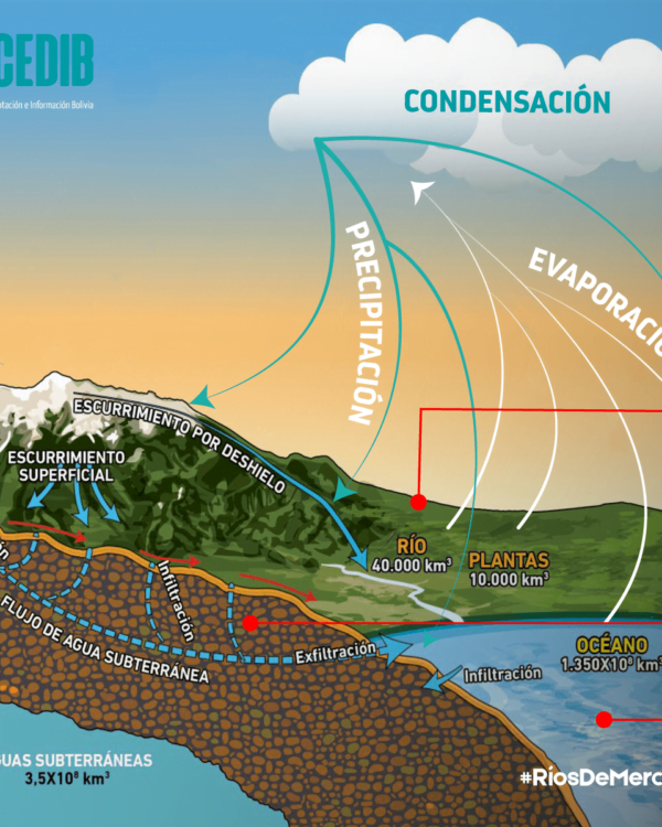 Ríos de mercurio: ¿Cómo llega el mercurio a nuestro organismo? I Ríos de mercurio: ¿Cómo llega el mercurio a nuestro organismo? I