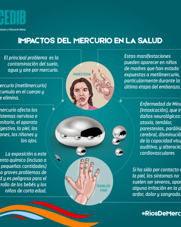 Ríos de mercurio: Impactos del mercurio en la salud Ríos de mercurio: Impactos del mercurio en la salud