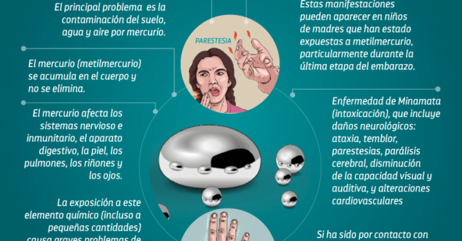 Ríos de mercurio: Impactos del mercurio en la salud Ríos de mercurio: Impactos del mercurio en la salud