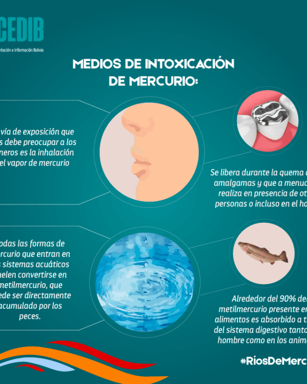 Ríos de mercurio: Medios de intoxicación por mercurio Ríos de mercurio: Medios de intoxicación por mercurio