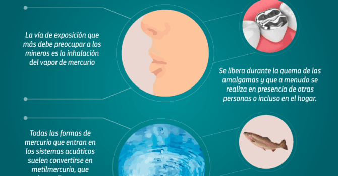 Ríos de mercurio: Medios de intoxicación por mercurio Ríos de mercurio: Medios de intoxicación por mercurio