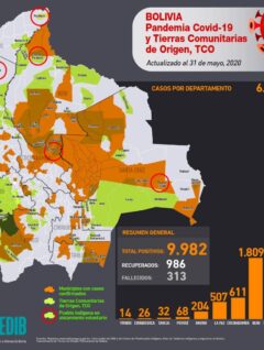Mapa casos positivos de coronavirus y Tierras Comunitarias de Origen, TCOs (31.5.20)
