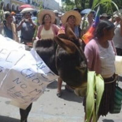 Piden respeto para zonas agrícolas de Cercado (Los Tiempos, 08.03.2013)