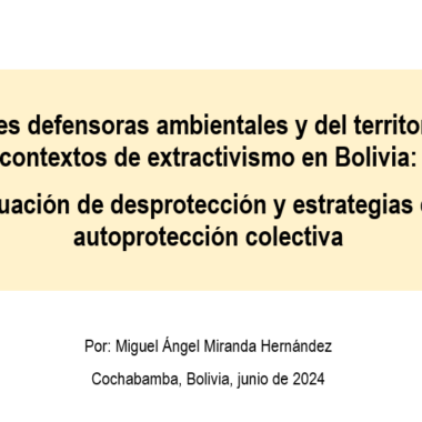 Ponencia CEDIB: Situación de Mujeres Defensoras ambientales y del territorio en Bolivia. Congreso LASA 2024, Colombia