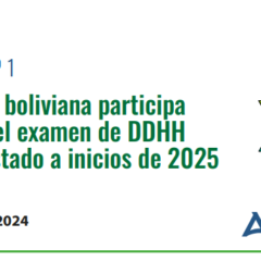 La sociedad civil boliviana participa activamente en el examen de DDHH que rendirá el Estado a inicios de 2025 en Ginebra