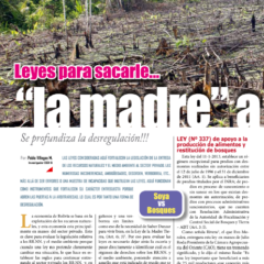 Petropress 31 | Leyes para sacarle la madre a la tierra se profundiza la desregulación