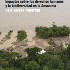 Minería ilegal de oro impactos sobre derechos humanos y la biodiversidad en la Amazonía seis países reportan | Informe COP16 Colombia