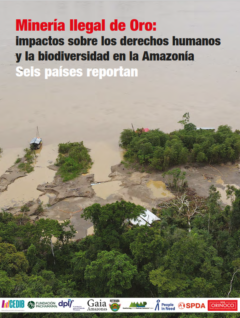 Minería ilegal de oro impactos sobre derechos humanos y la biodiversidad en la Amazonía seis países reportan | Informe COP16 Colombia