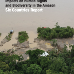 Illegal Gold Mining | Impacts on Human Rights and Biodiversity in the Amazon Six countries report