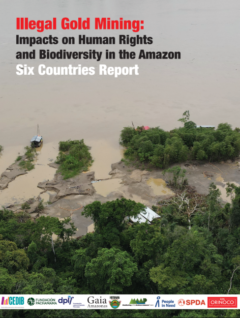 Illegal Gold Mining | Impacts on Human Rights and Biodiversity in the Amazon Six countries report