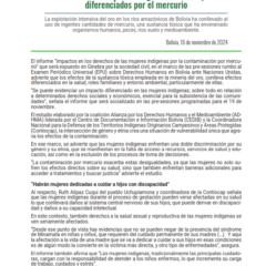 Nota de Prensa | Informe al EPU: Mujeres indígenas sufren impactos diferenciados por el mercurio