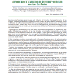 Nota de Prensa | Rubén Darío rumbo al EPU: “Los incendios forestales abrieron paso a la violación de Derechos y delitos en nuestros territorios”