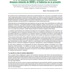 Nota de Prensa | EPU: En Naciones Unidas, sociedad civil boliviana denuncia violación de DDHH y el Gobierno no se presenta