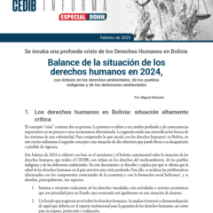 Balance anual de Derechos Humanos año 2024