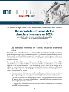 Balance anual de Derechos Humanos año 2024