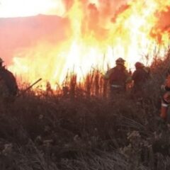 Relatoría de la CIDH anuncia visita a Bolivia para evaluar impactos de los incendios | Brújula Digital (19.11.24)